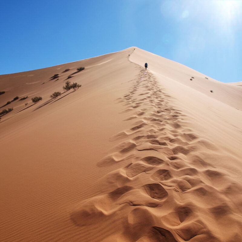 Aventure en famille dans le désert du Sahara au Maroc