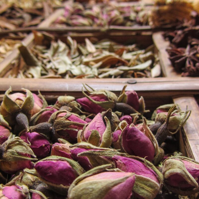 Trekking Vallée des Roses au Maroc