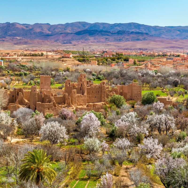 Trekking Vallée des Roses au Maroc